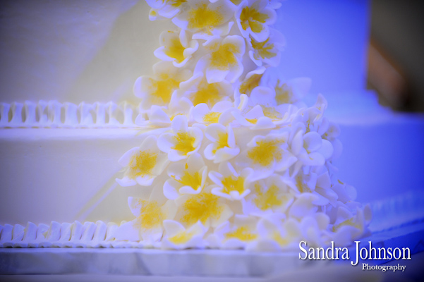 Best Sanford Civic Center Wedding photographer - Sandra Johnson (SJFoto.com)